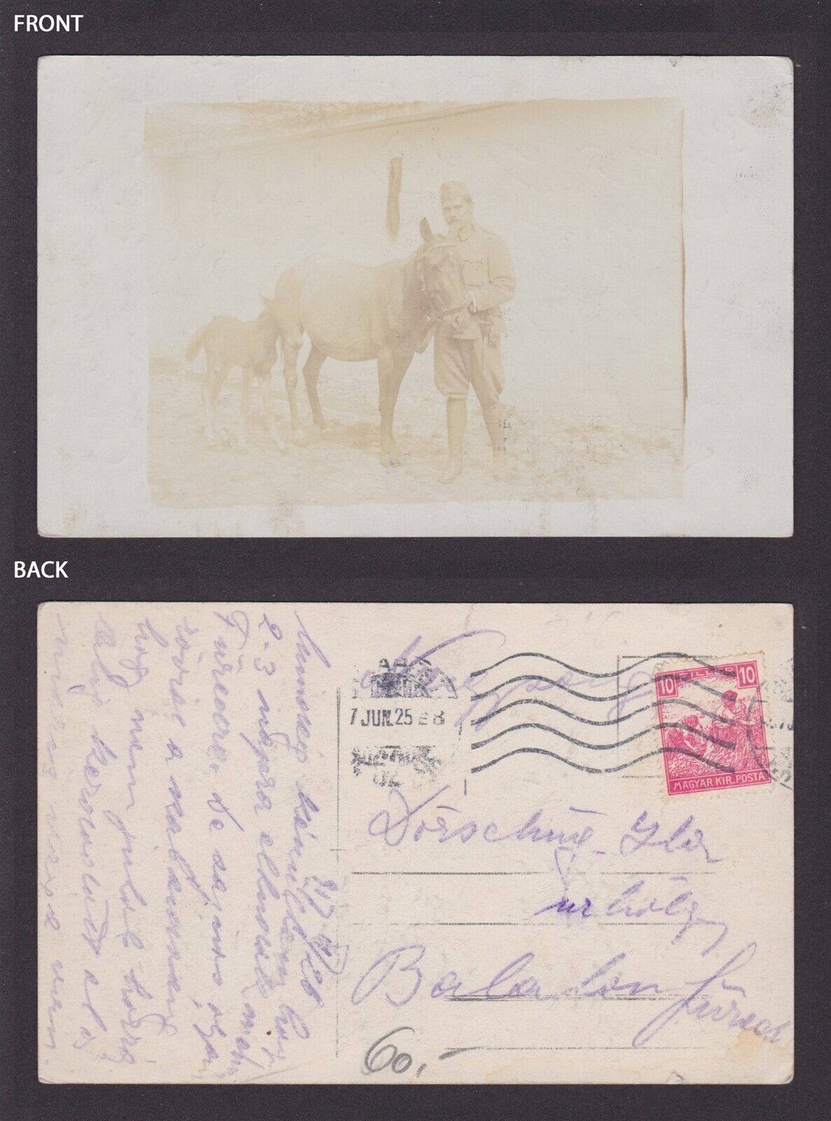 HUNGARY, Vintage postcard, RPPC, The soldier with horse and foal, Posted