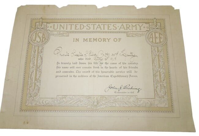 WWI Army KIA Killed in Action Named Memory Certificate 307th Infantry Regiment