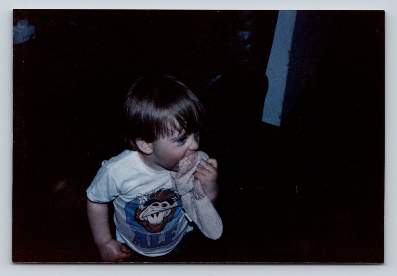 1989 Kid Wearing An Alf Shirt Nostalgia Childhood Vintage 5x3.5\