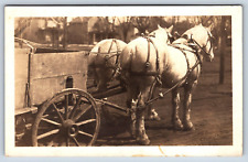 Postcard RPPC Brewery Delivery Horse Drawn Wagon Buckskin Color Rare Find G6 picture