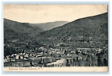c1910 Bird's Eye View Of Phoenica New York NY Unposted Antique Postcard picture
