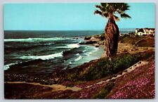 Beautiful California Shoreline Postcard Old Car Palm Tree picture