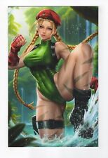 Duty Calls Girls #1 Dalmos Street Fighter Cammy Cosplay 1/50 Virgin Variant (NM) picture