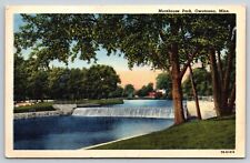 Morehouse Park, Owatonna, Minnesota Vintage Postcard picture
