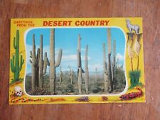 Giant Cactus Large Letter DESERT COUNTRY UNPOSTED Riley Postcard picture
