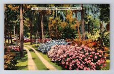 Jacksonville FL-Florida, an Jose Boulevard Oriental Gardens, Vintage Postcard picture