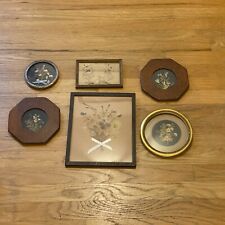 Antique 1990’s Victorian Picture Frame Pressed Dried Flowers Lot  Wall Set picture
