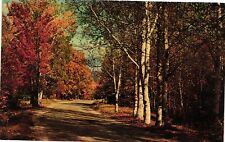 Vintage Postcard- 5S-544. A COUNTRY ROAD IN AUTUMN, ME. Unused 1950 picture