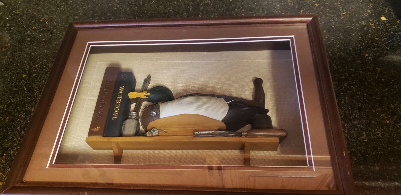 Ducks Unlimited shadow box display of model of a Drake Mallard decoy.