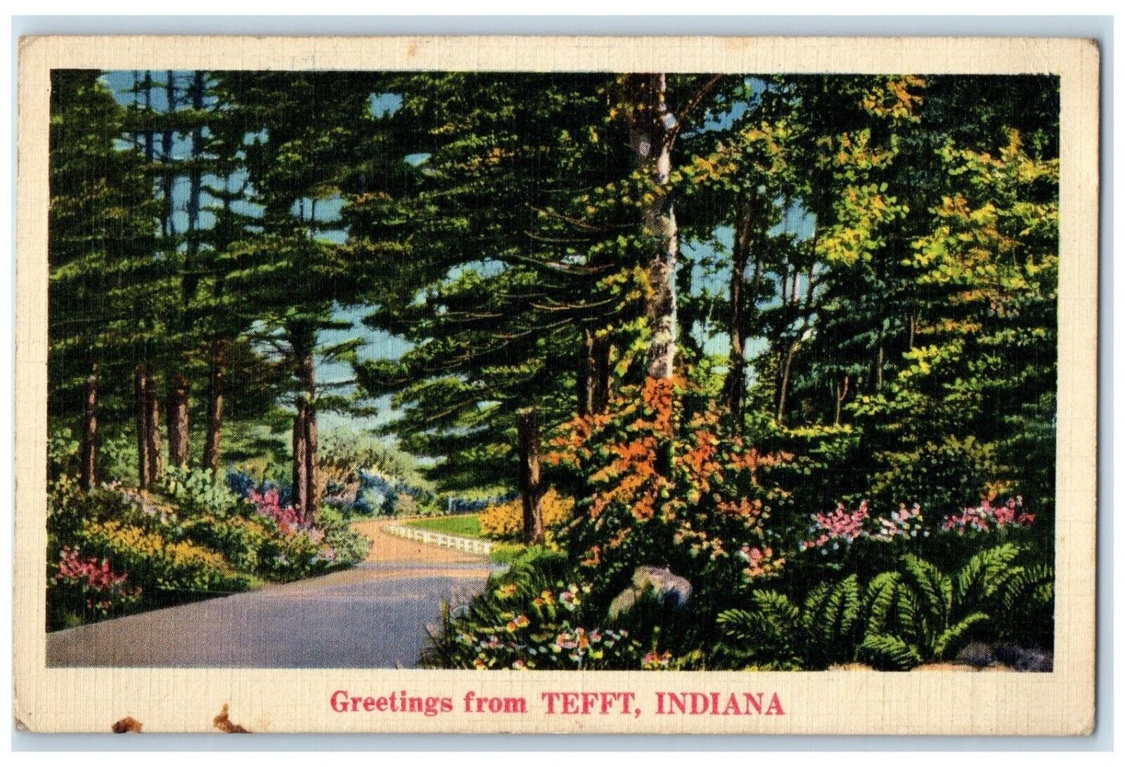 1939 Greetings From Tefft Indiana IN, Curve Road And Trees Vintage Postcard