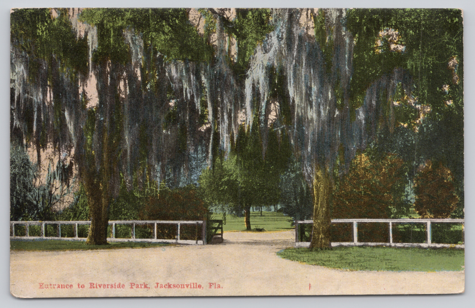 Entrance Riverside Park, Jacksonville FL c1910s Postcard, St. John\'s River