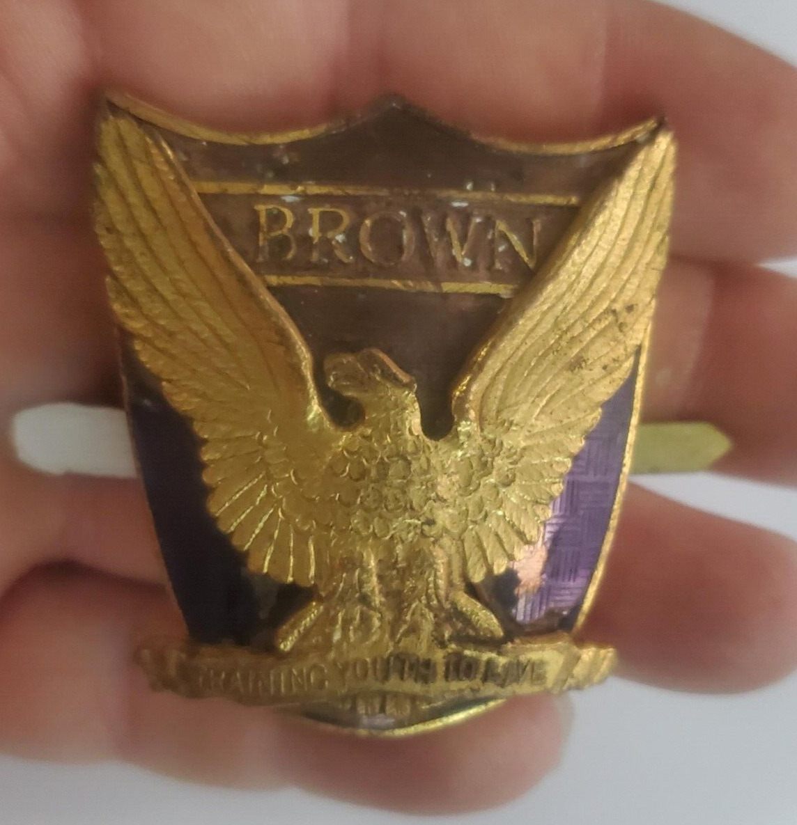 Training Youth To Live Badge Brown Golden Eagle Over Shield Please Read Cond