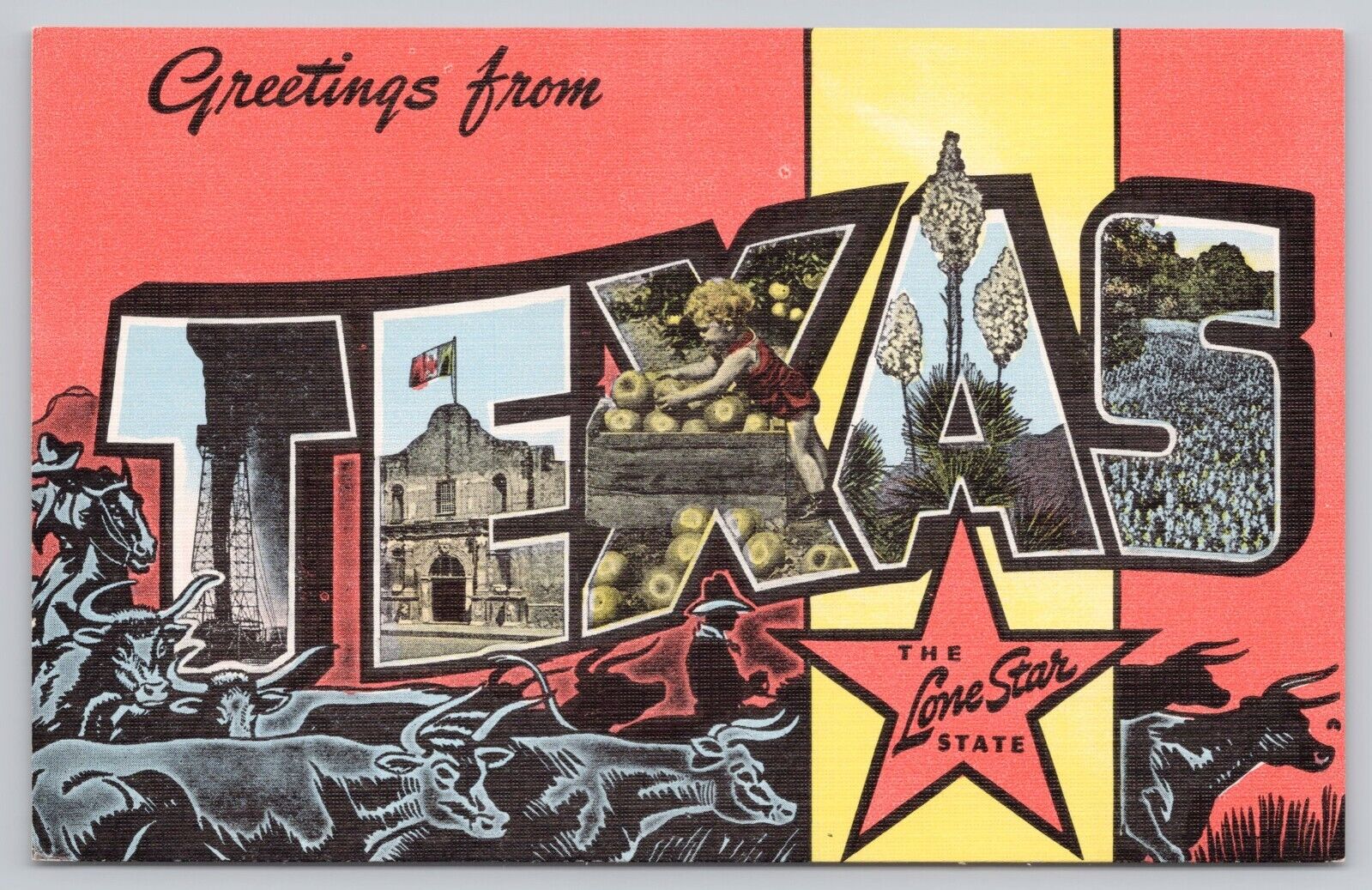 Texas, Large Letter Greetings, Lone Star State Cowboy Cattle, Vintage Postcard