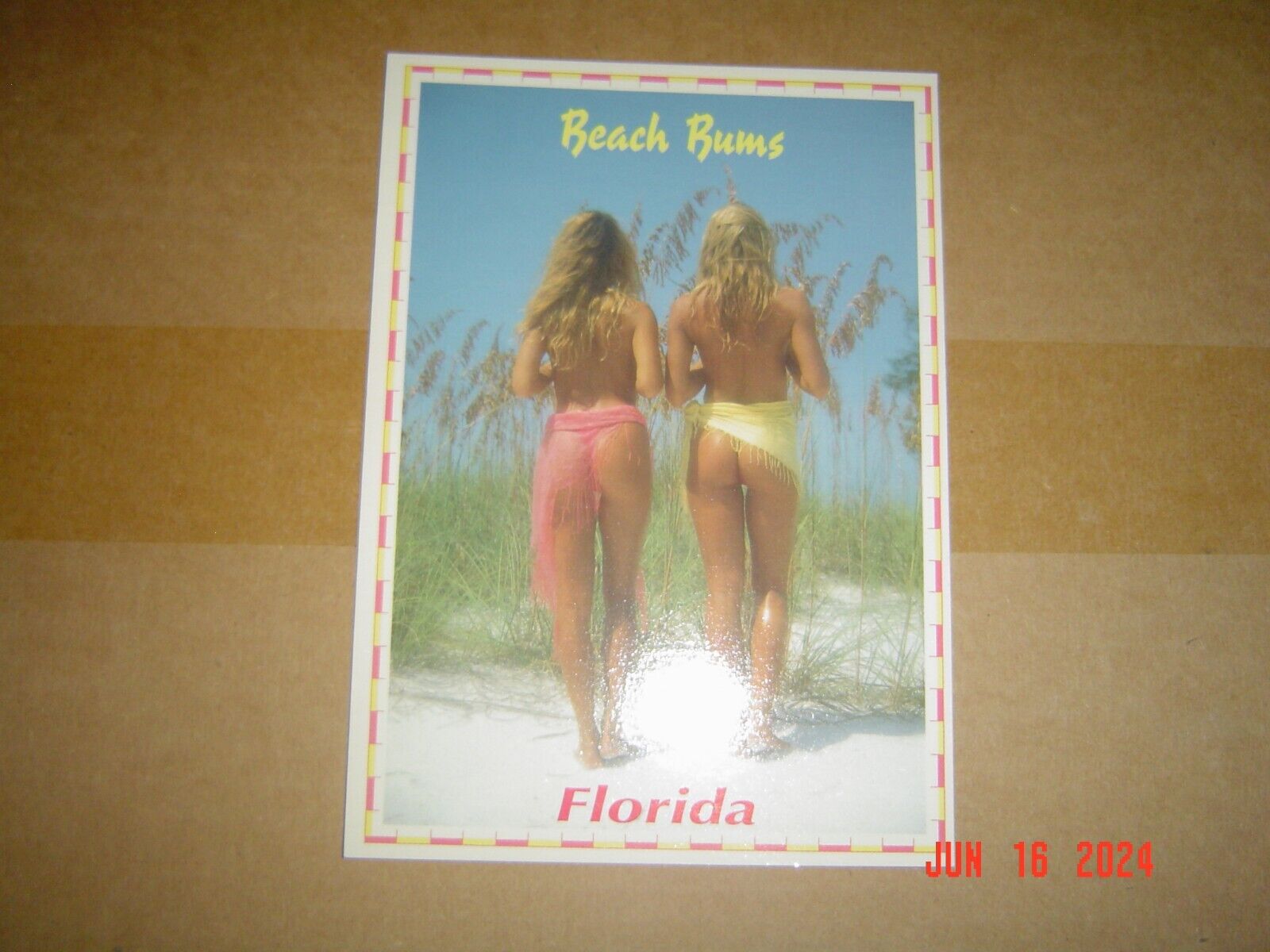 1 Sexy Female Beach Bums Florida Postcard (5.0-in x 7.0-in)