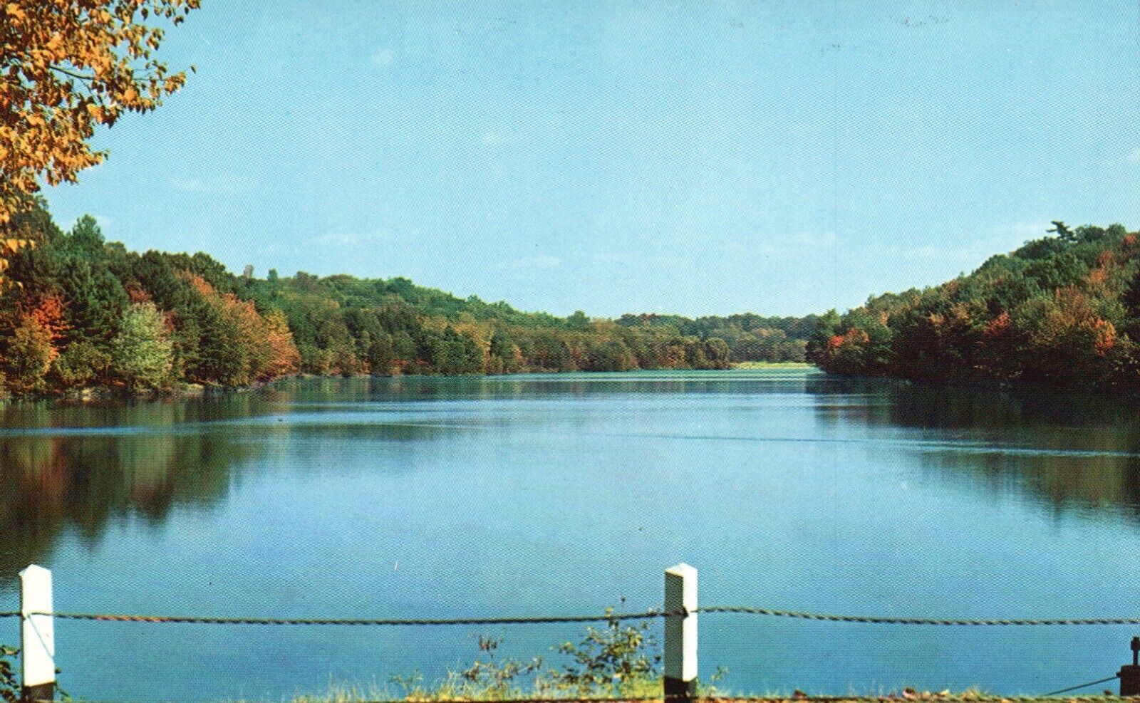 Postcard MA Springfield Massachusetts Forest Park Brook Chrome Vintage PC J993