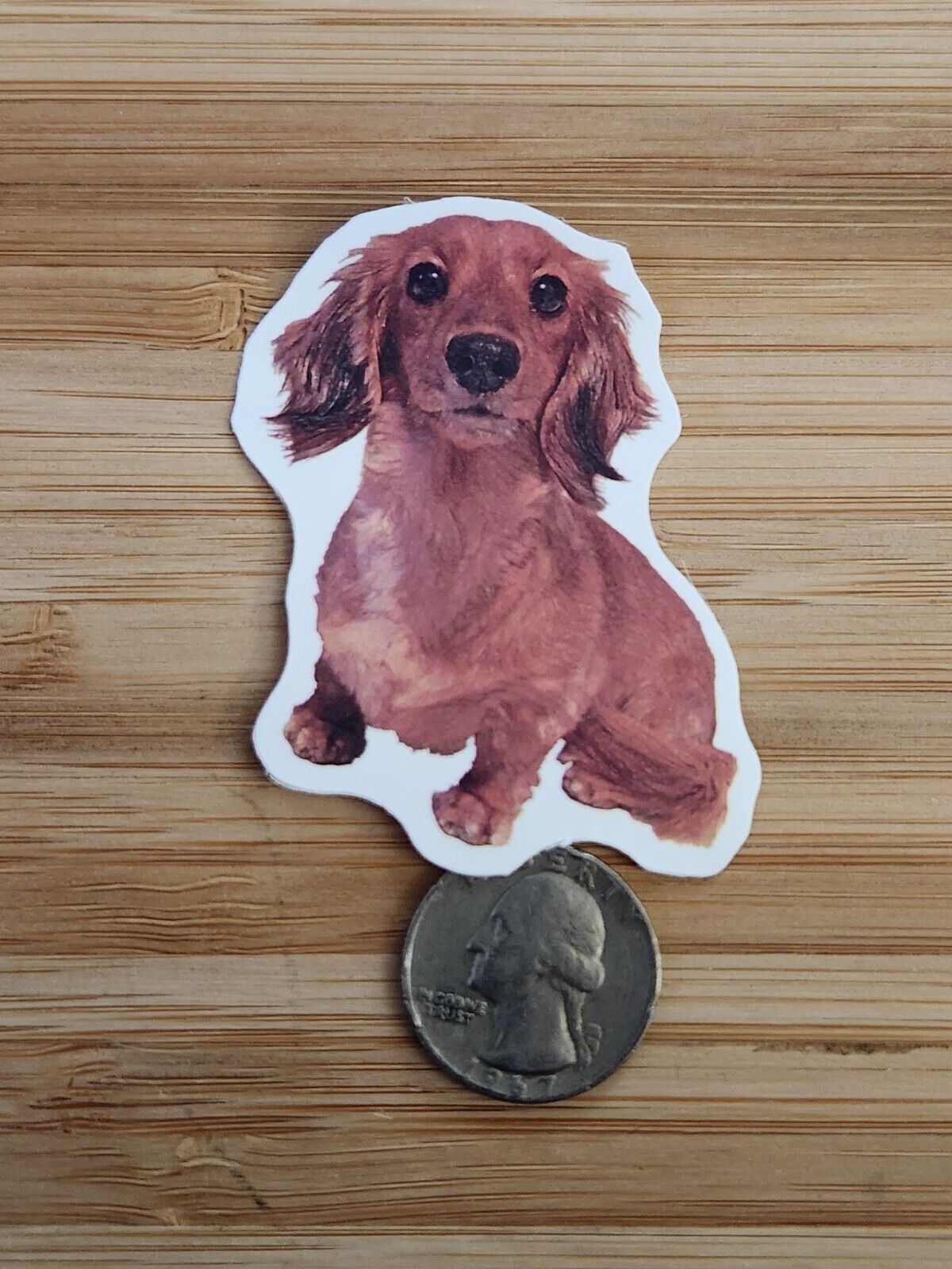 Dachshund Sticker Weiner Dog Sticker Dog Sticker Dachshund Decal Pets Dogs