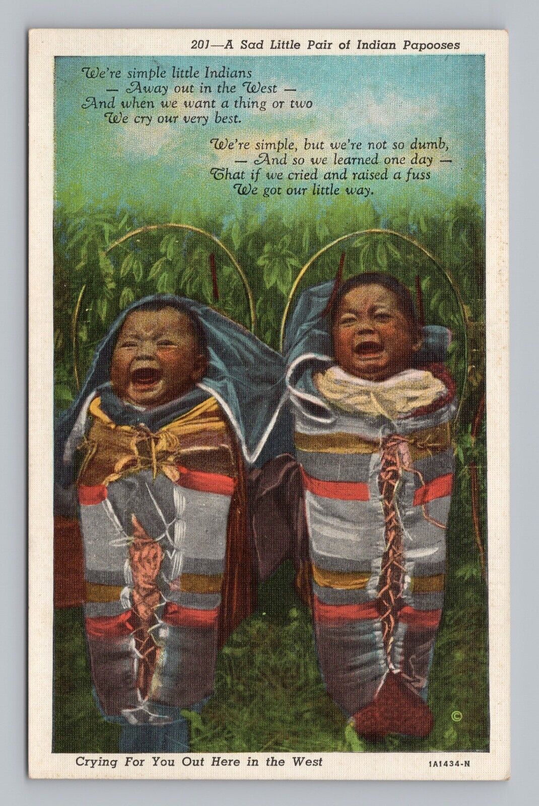Postcard A Sad Little Pair of Indian Papooses Poem