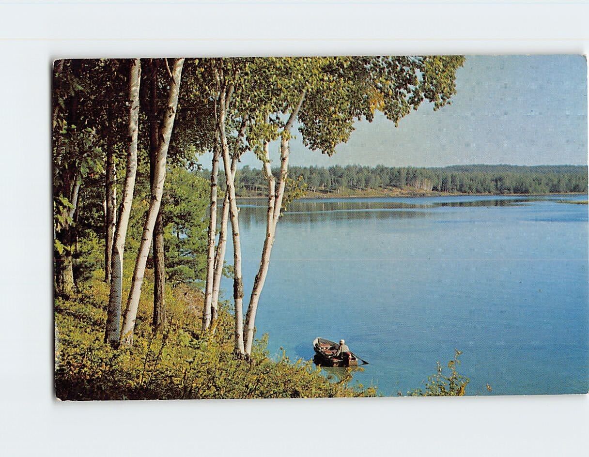 Postcard Fishing Fun