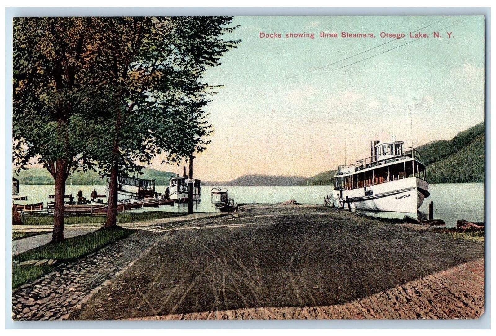 c1910's Docks Showing Three Steamers Otsego Lake New York NY Posted Postcard