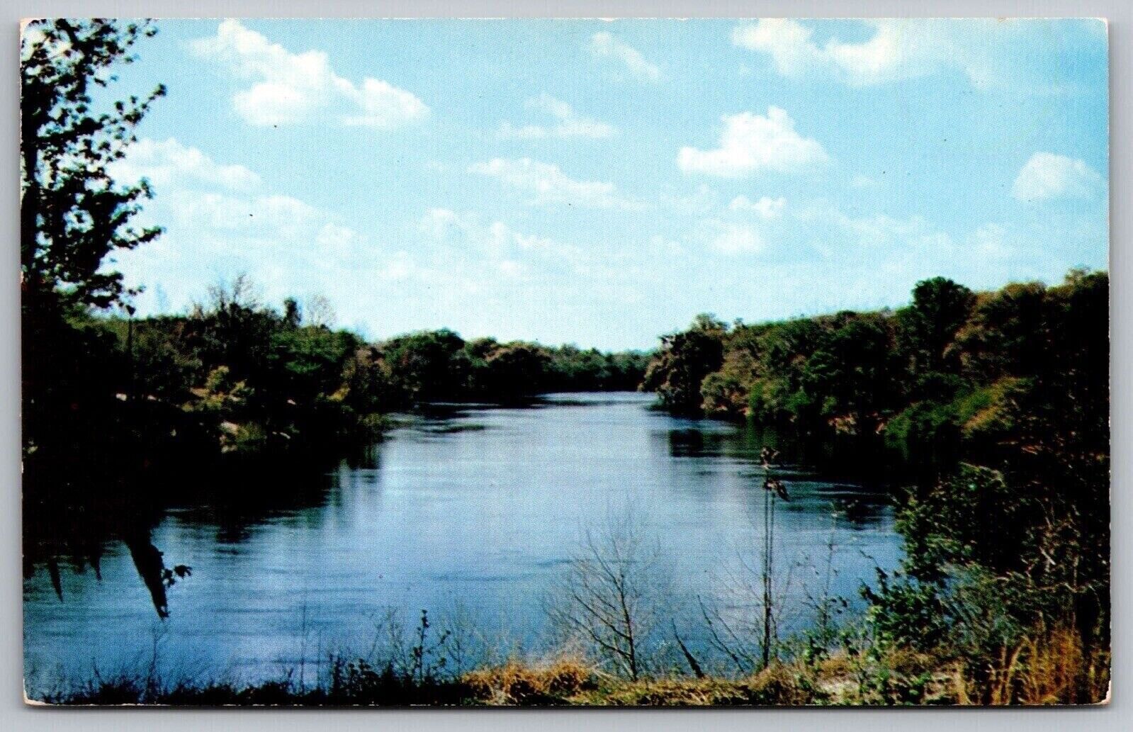 Way Down Upon Suwanee River Branford Florida Waterfront FL Vintage UNP Postcard