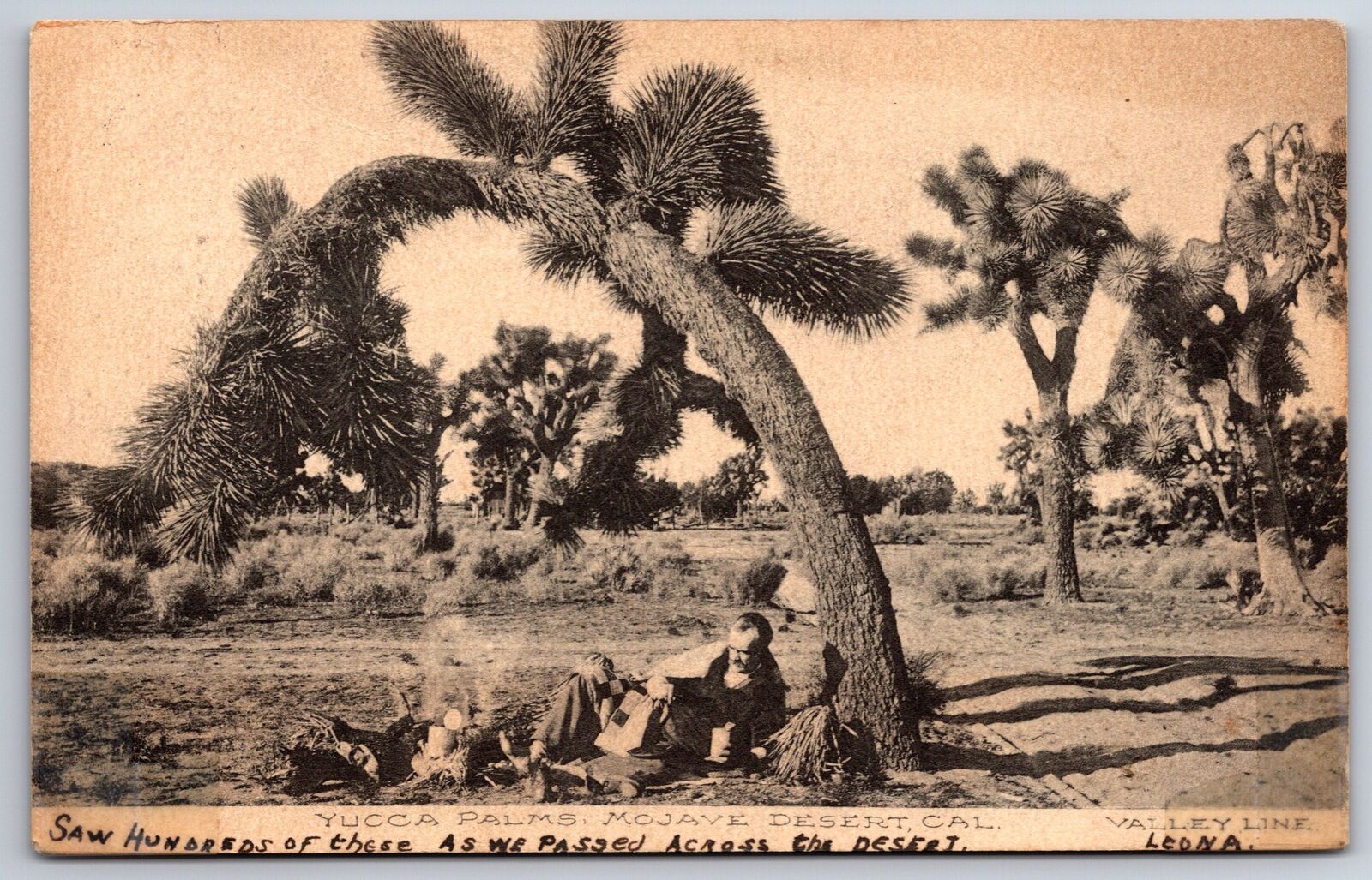 Mojave Desert California~Hobo By Camp Fire Under Yucca Palms~Valley Line~1908 