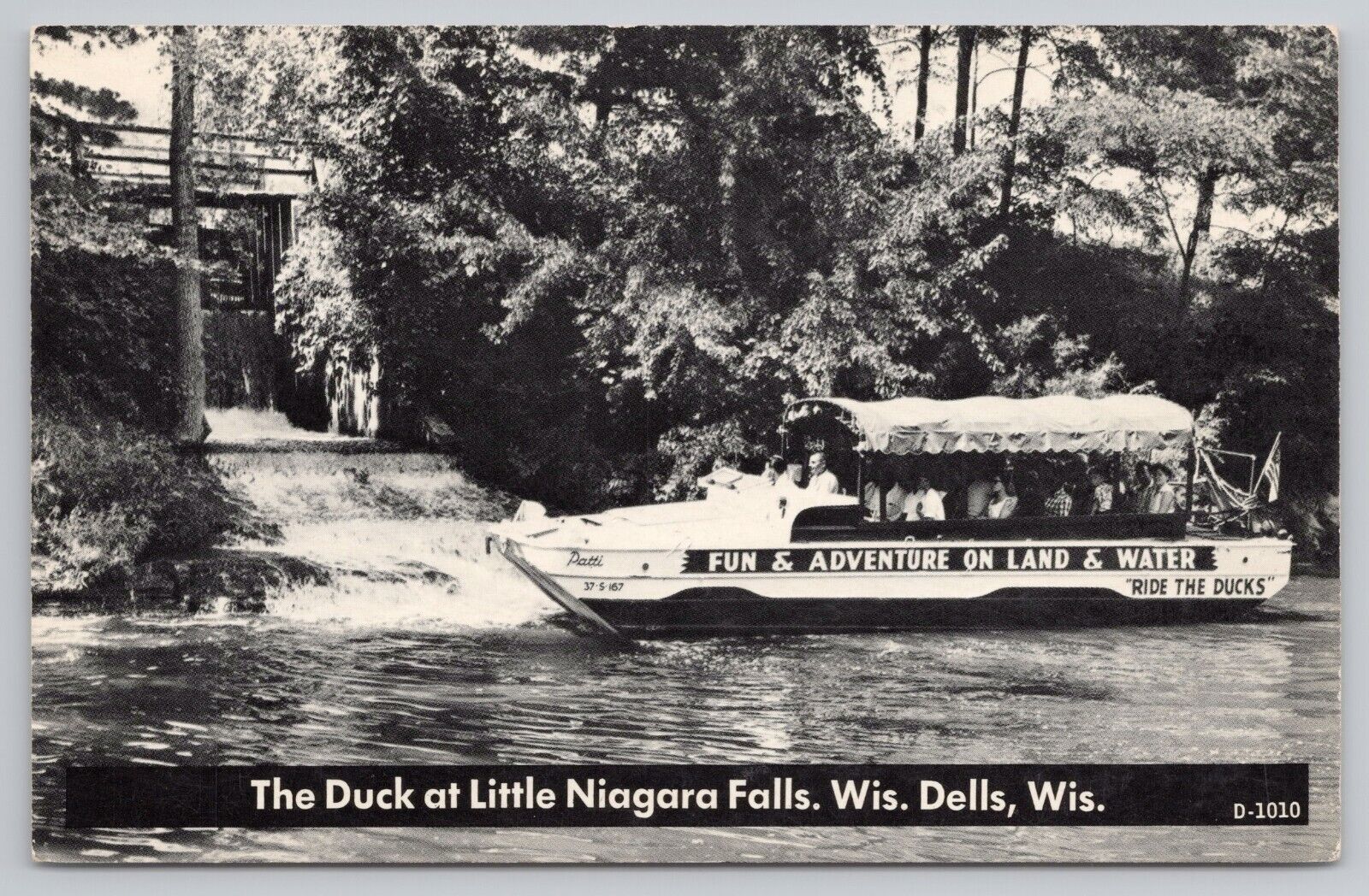 Postcard - Duck at Little Niagara Falls, Wisconsin Dells - RPPC??