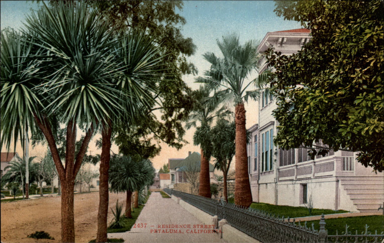 Petaluma California Residence Street ~ Edw Mitchell Publ ~ c1910 postcard