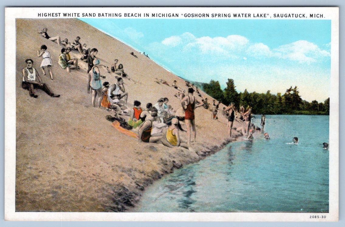 1920\'s SAUGATUCK MICHIGAN GOSHORN SPRING WATER LAKE PARRISH & SIMONSON POSTCARD