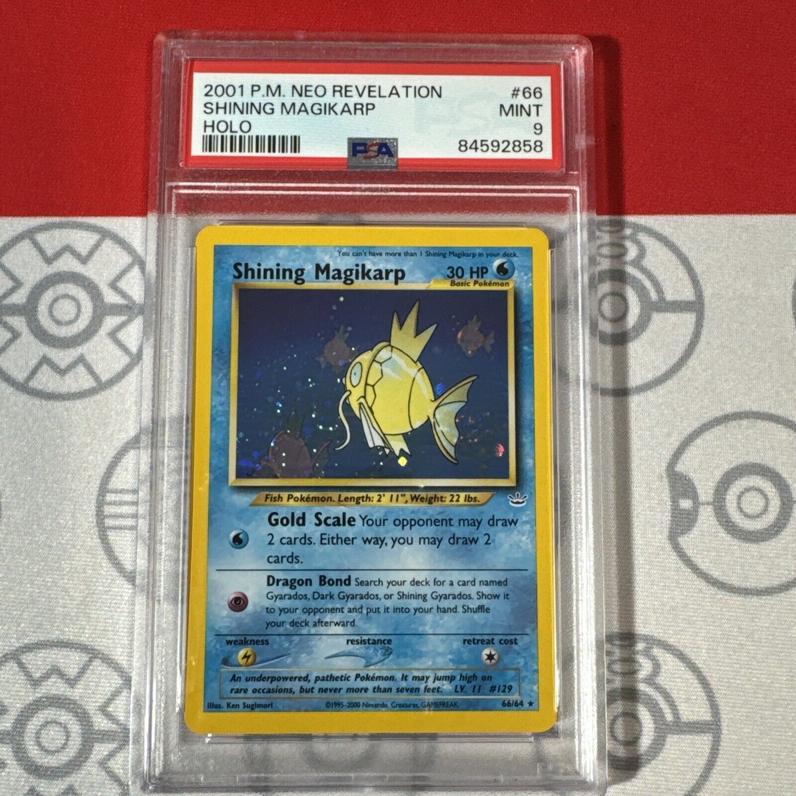 PSA 9 Shining Magikarp Holo #66/64 2001 Pokemon Neo Revelation Card 2858