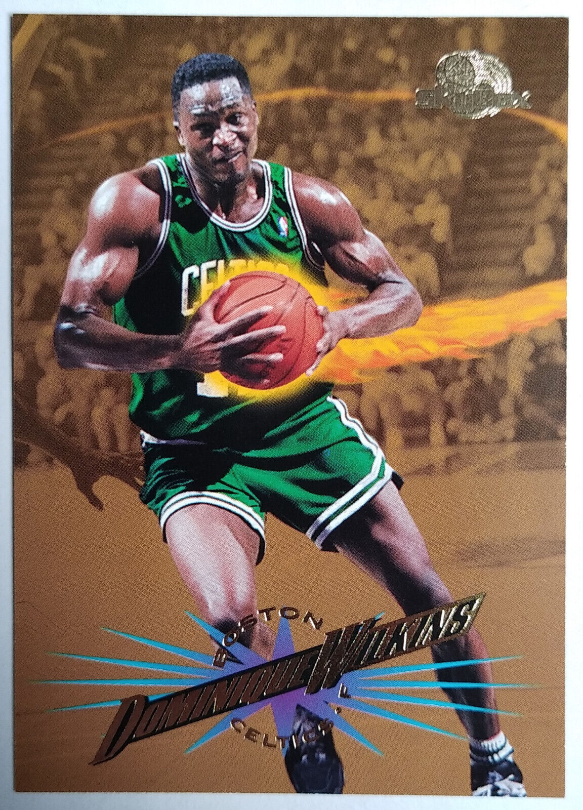 1995-96 NBA SKYBOX PREMIUM CARDS CHOICE