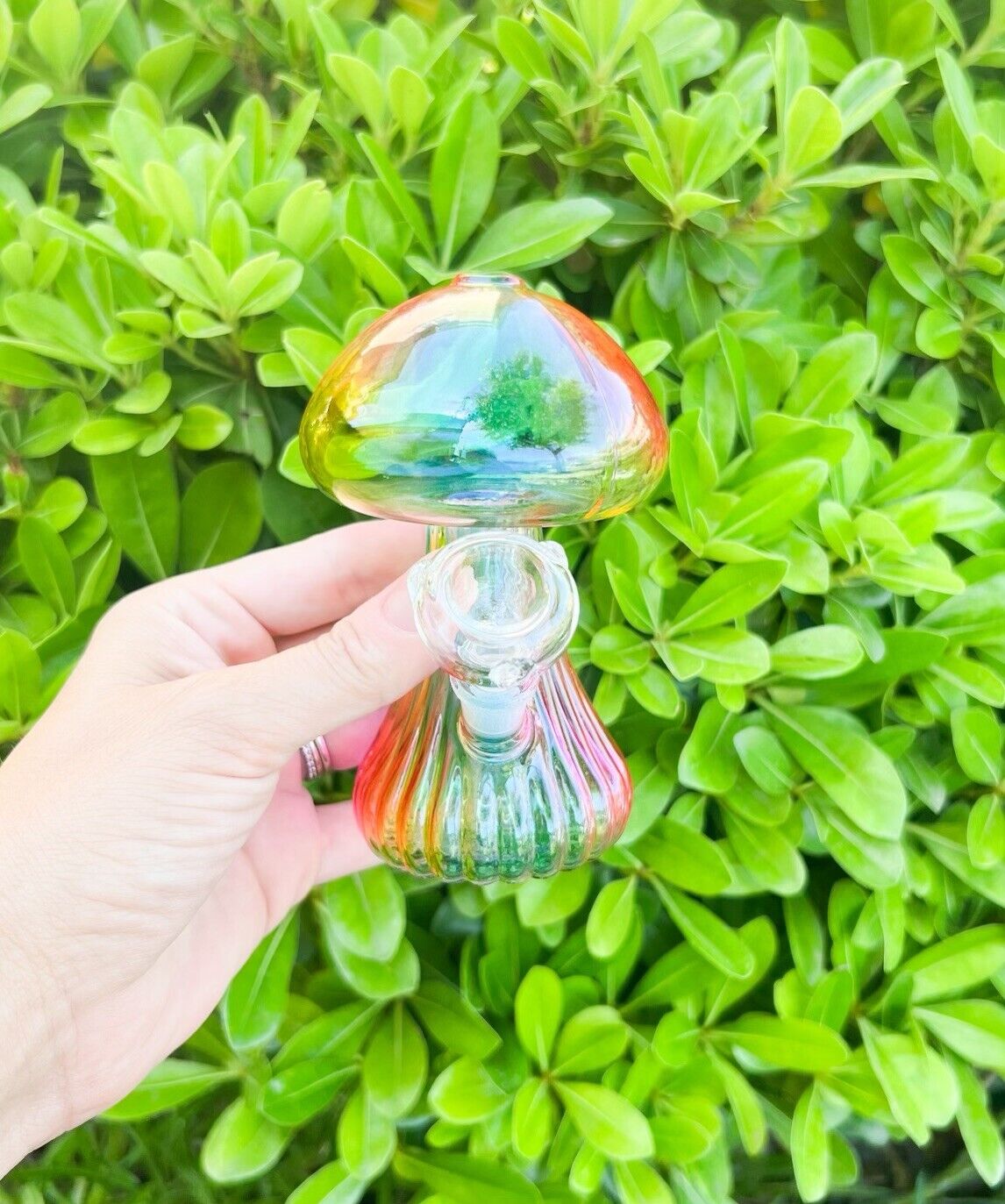 Rainbow Mushroom 6in Glass Water Pipe Glass Cute Bong Girly