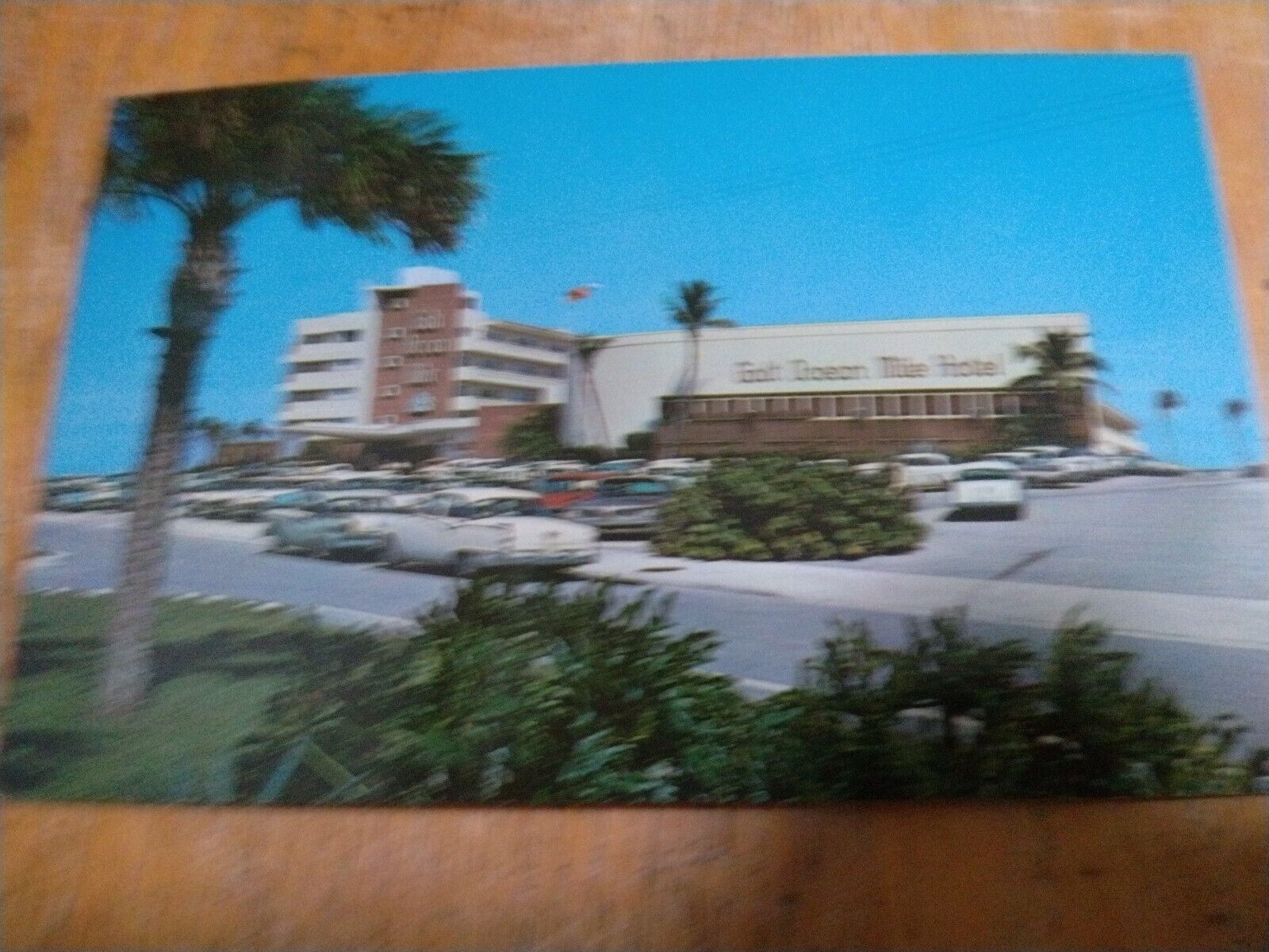 Hotel & Resort~Fort Lauderdale Florida~Galt Ocean Mile Hotel~Vintage Postcard