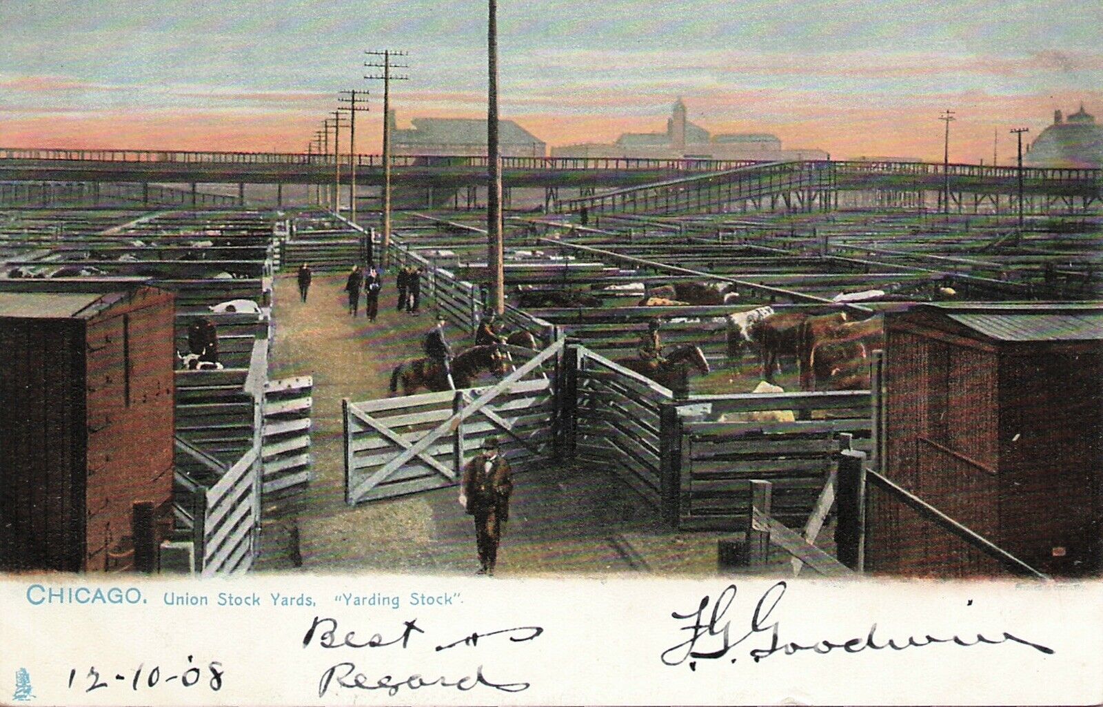 Union Stock Yards Horses Chicago Illinois Raphael Tuck & Sons 1908 Postcard