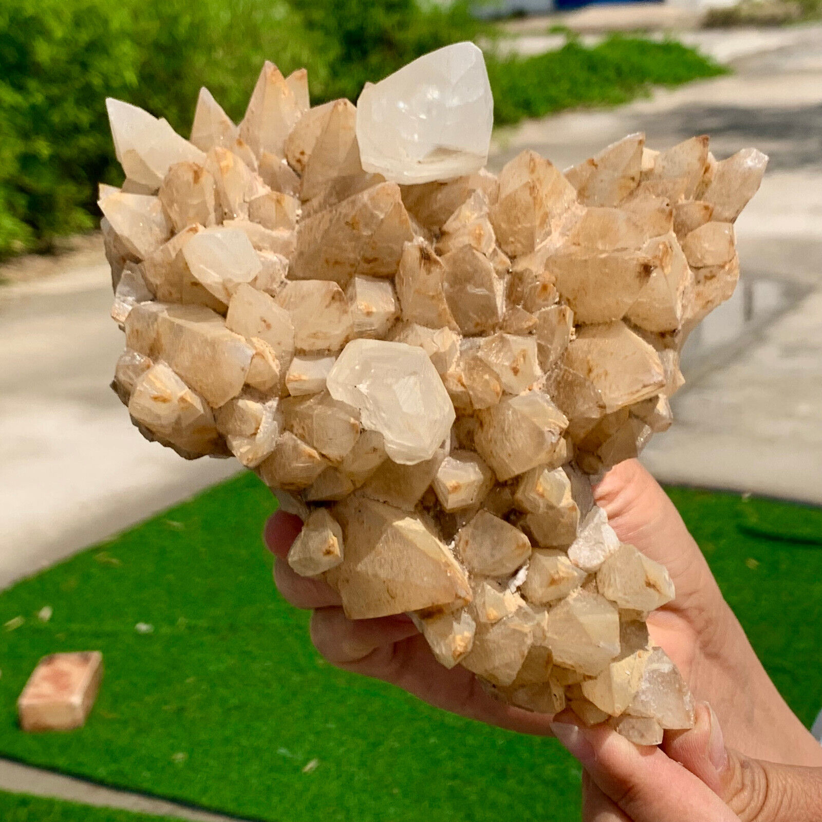 2.98LB Natural Milky Grey WhiteSprouting Quartz Cluster From InnerMongolia China