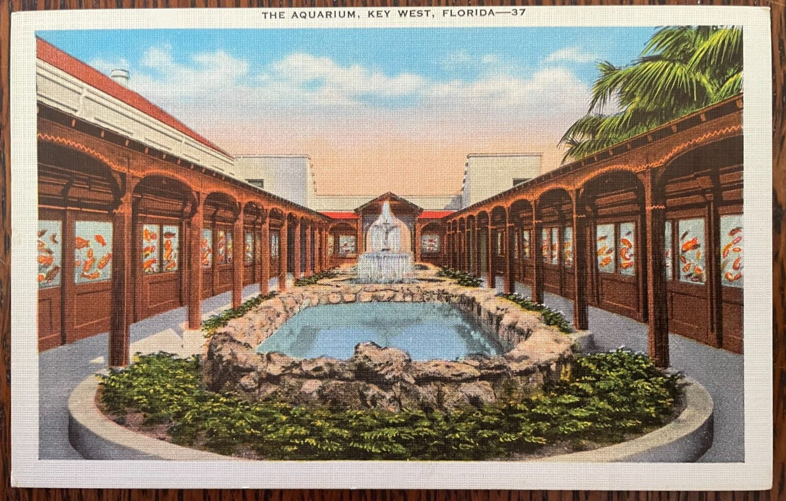 Vintage Postcard 1930-1945 The Aquarium, Key West, Florida (FL)