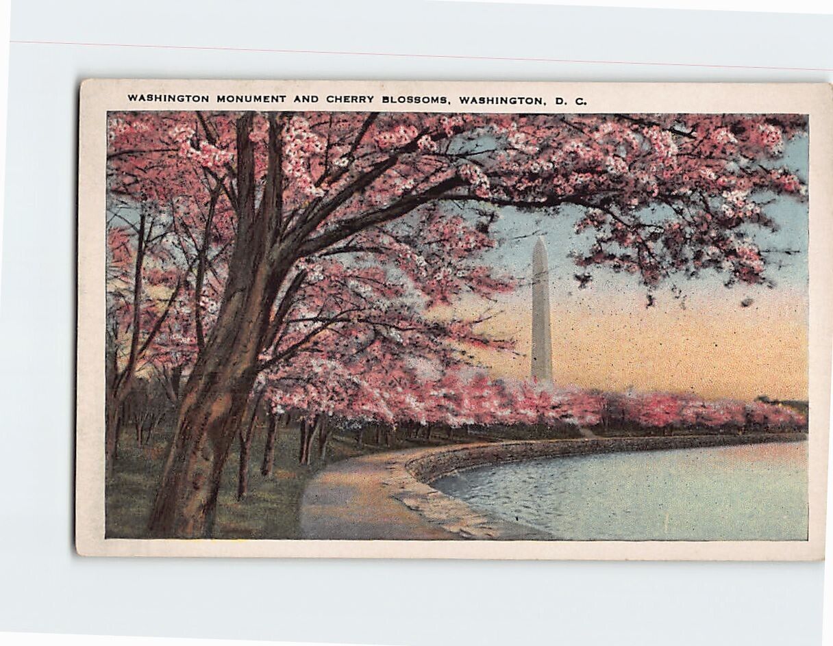 Postcard Washington Monument & Cherry Blossoms Washington DC USA