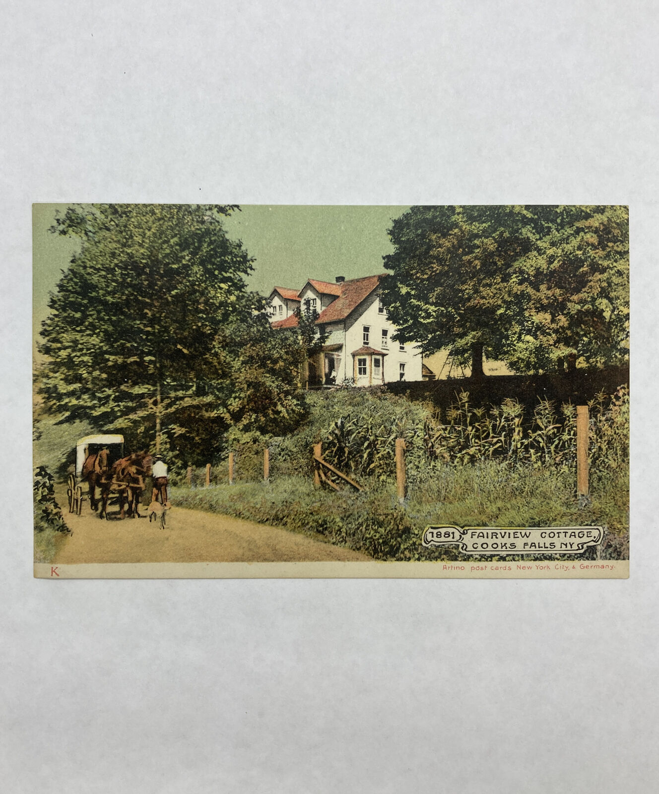 Cooks Falls, NY:  Delaware County, New York Postcard 1881 Fairview Cottage /Rare