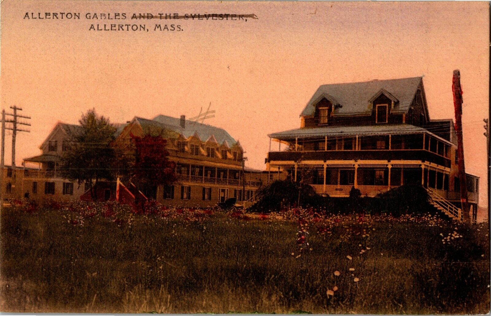 Allerton Gables and the Sylvester Hotels, Allerton MA c1908 Vintage Postcard M36