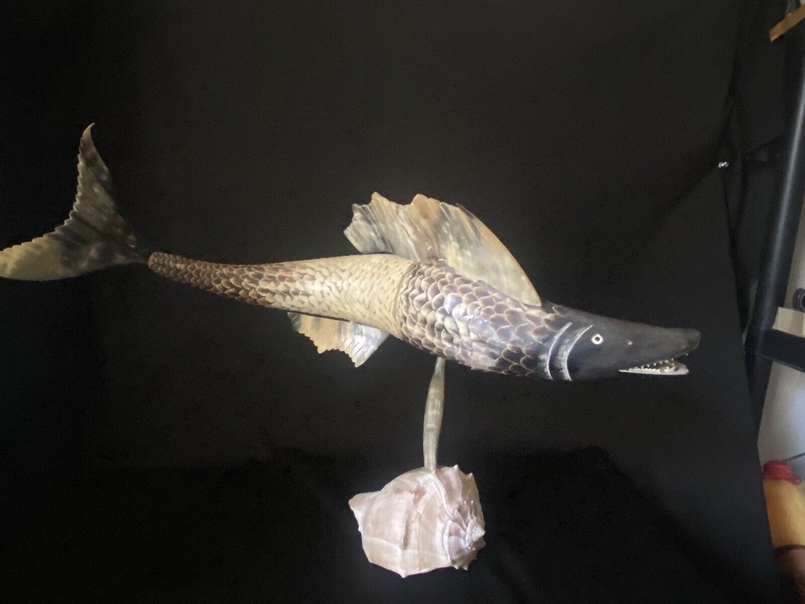 Vtg Curiosity Odditty LG Bone Scaled Barracuda Fish Figure Sculpture Shell Base 