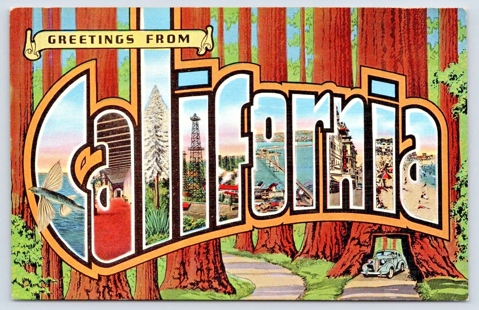 Postcard Linen California Big Letters Redwood Trees A19