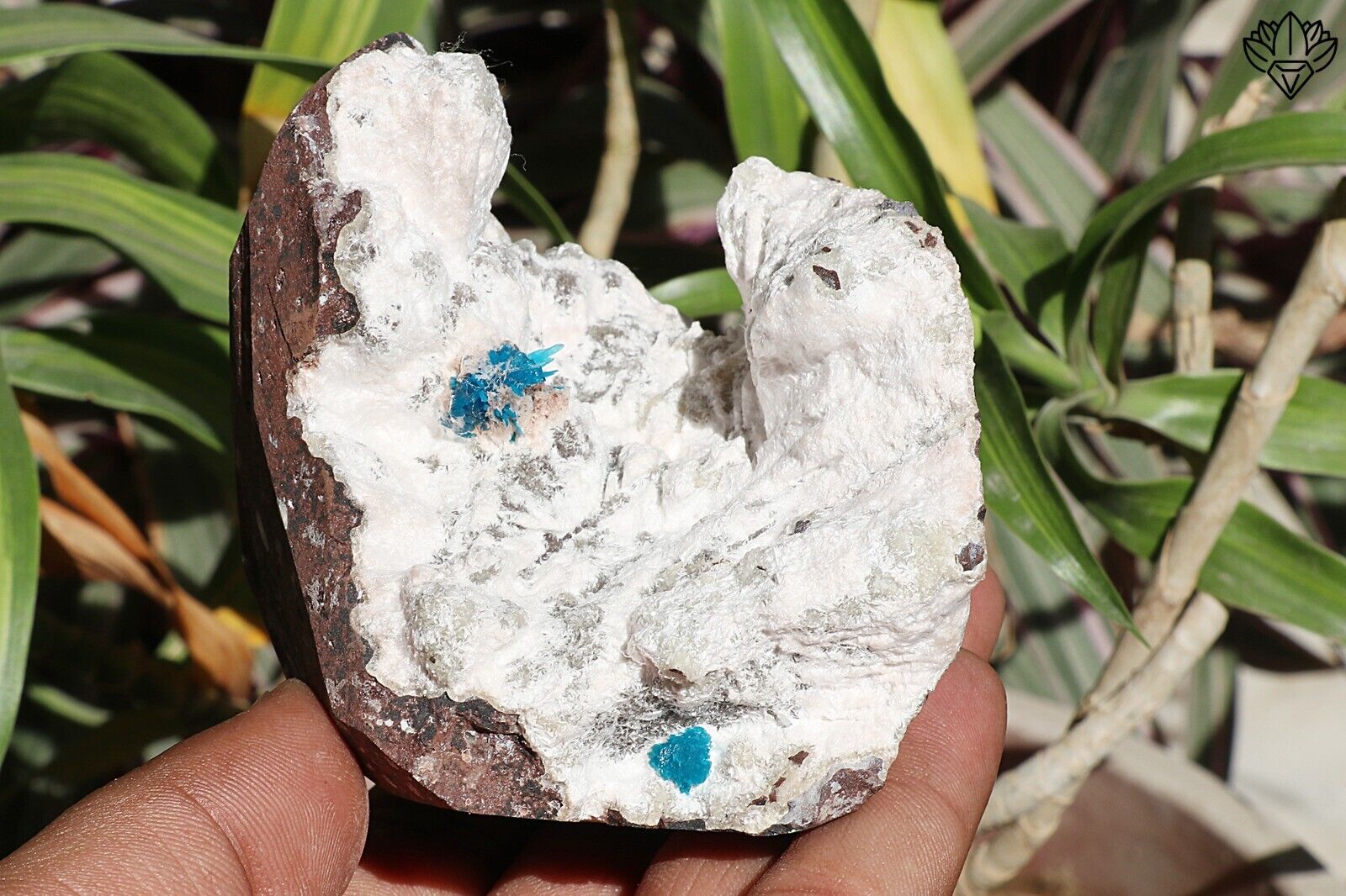 280 gm Amezing Natural Cavansite crystal flower Heulandite base rough specimen