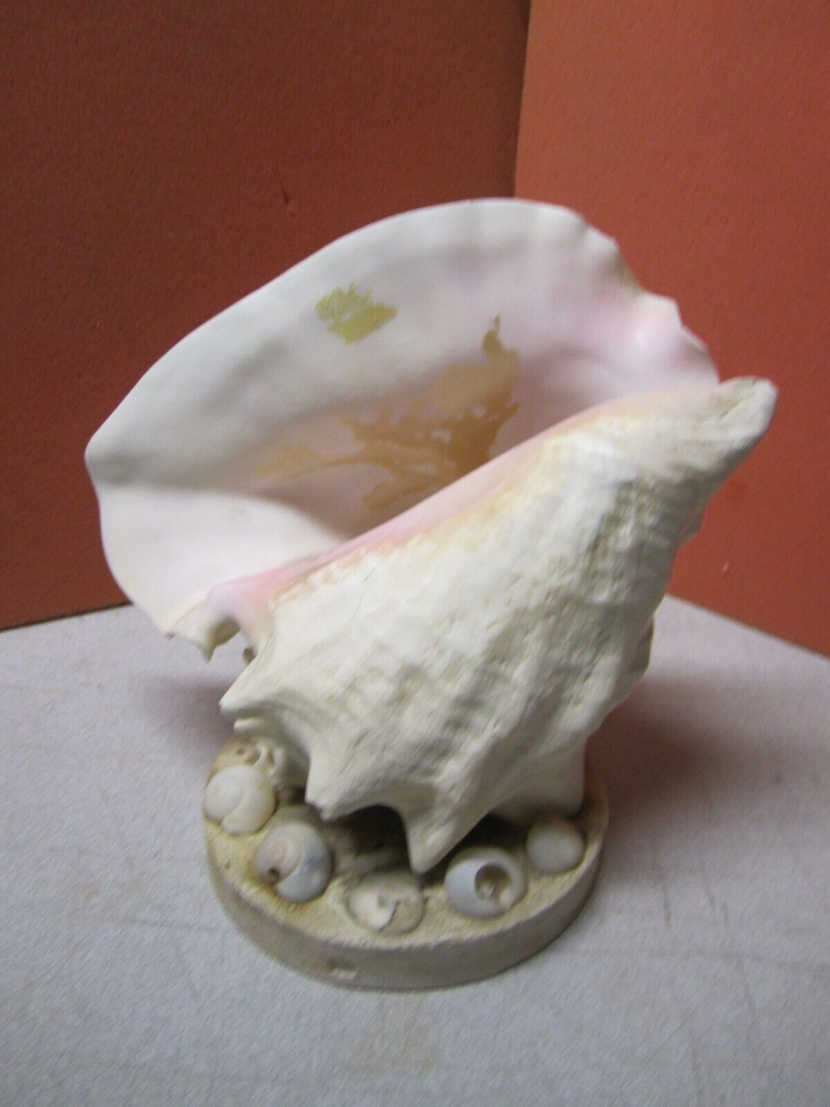 Big Conch Sea Shell on Base Decoration 
