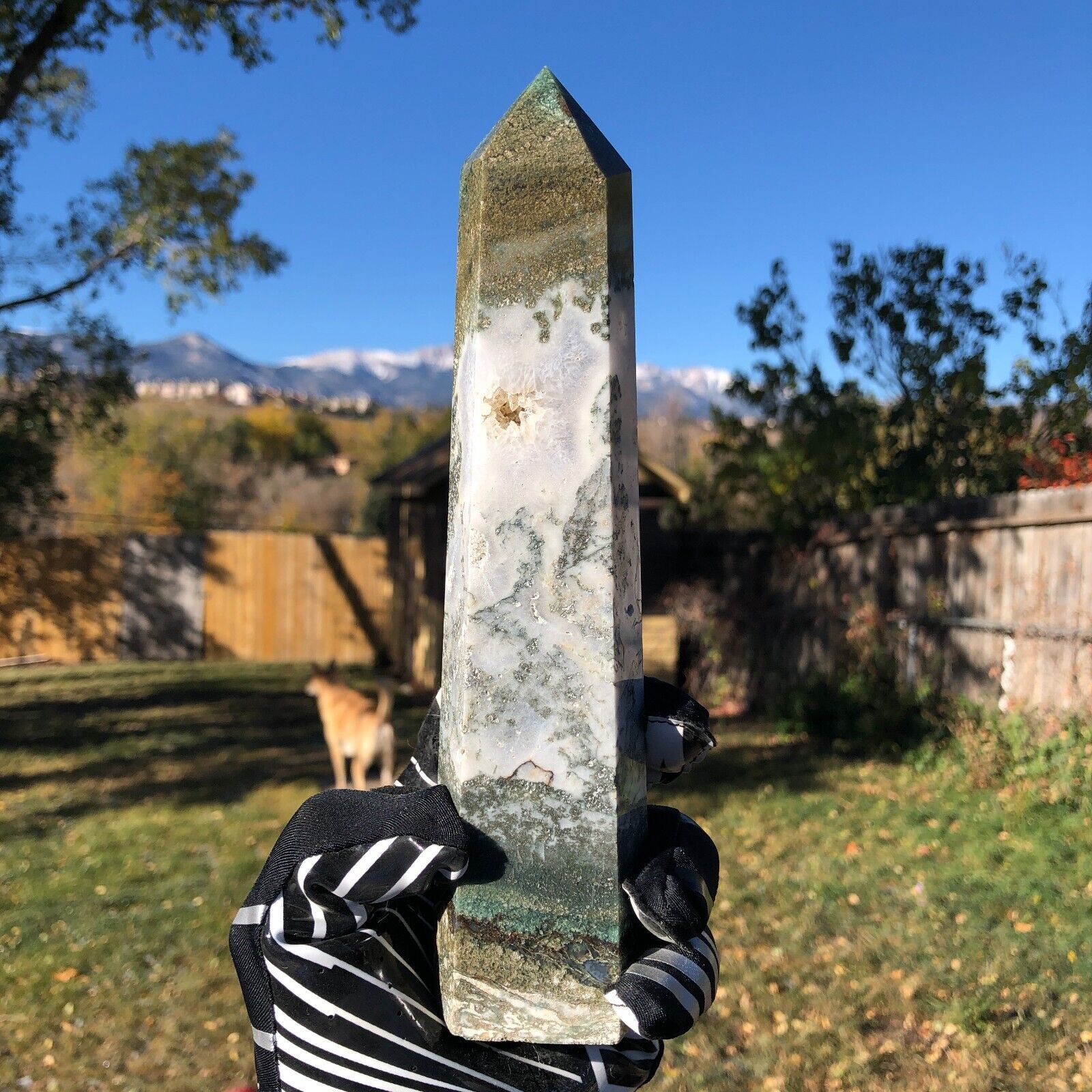 1.37lbs Moss Agate Chalcedony Quartz Crystal Cluster Obelisk Tower Point USAYC12