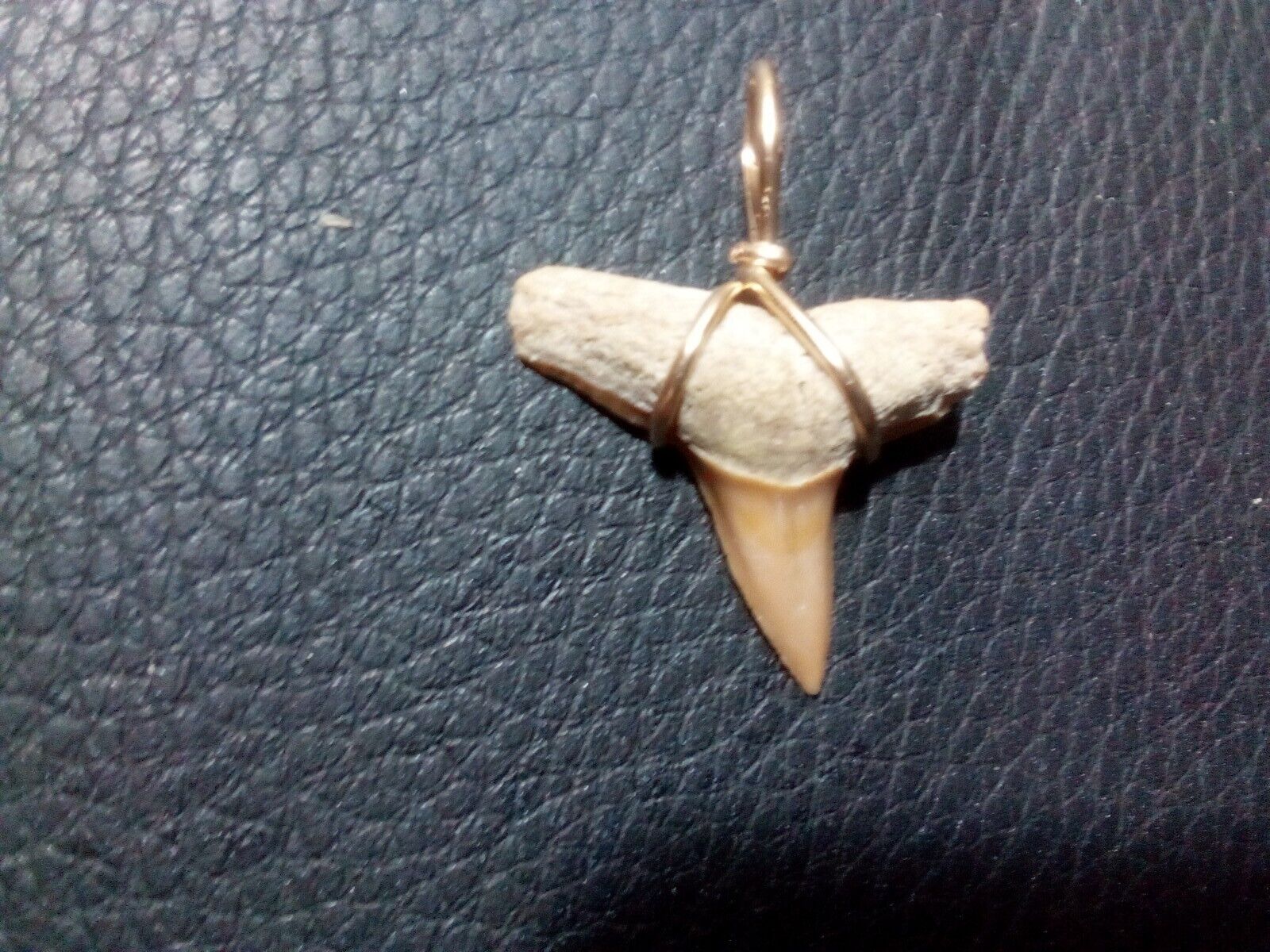 Lemon Shark Tooth Pendant With Gold Filled Hand Wrap