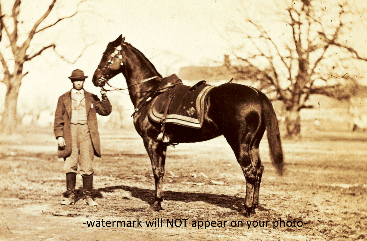 Ulysses S Grant War Horse PHOTO Cincinnati Civil War MARCH 1865