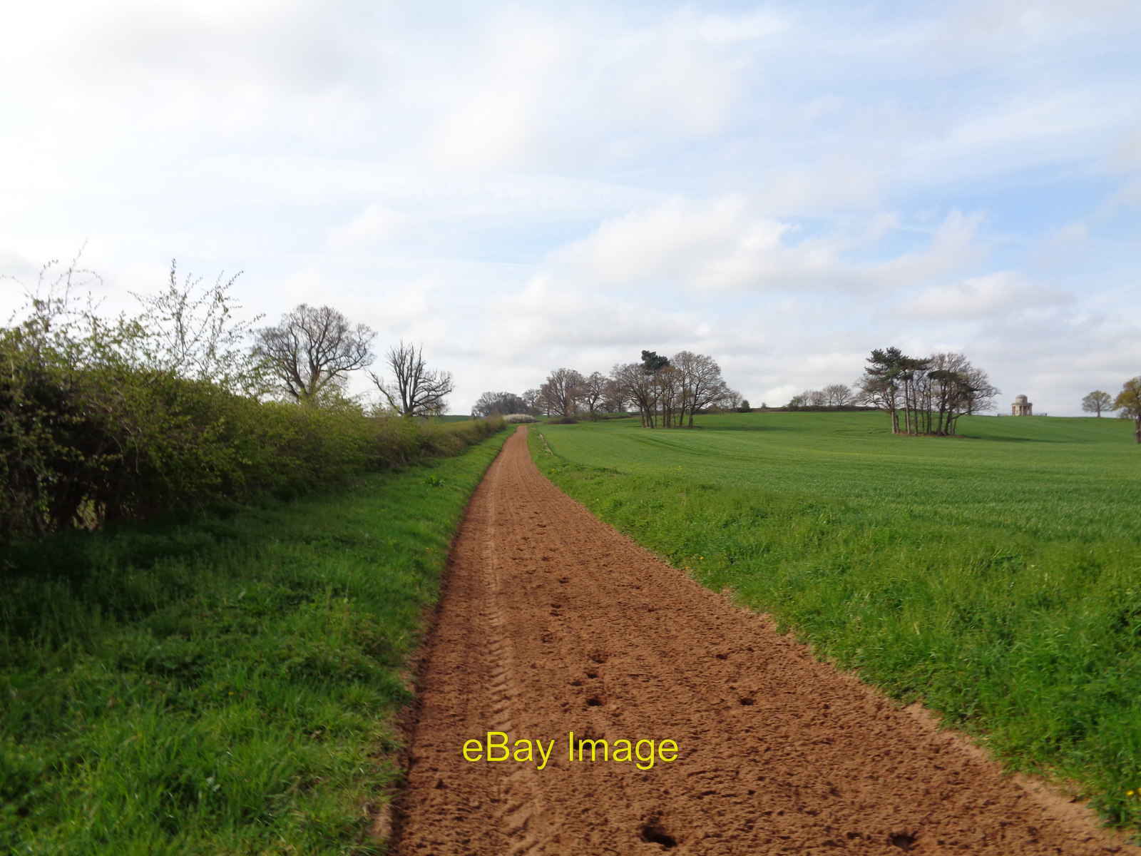 Photo 6x4 Gallops on the edge of a field with hoof prints Severn Stoke [[ c2019