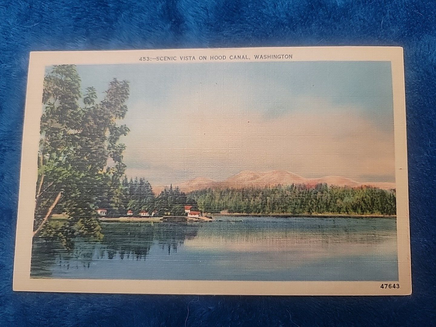 vintage postcard washington state 453 scenic vista on hood canal