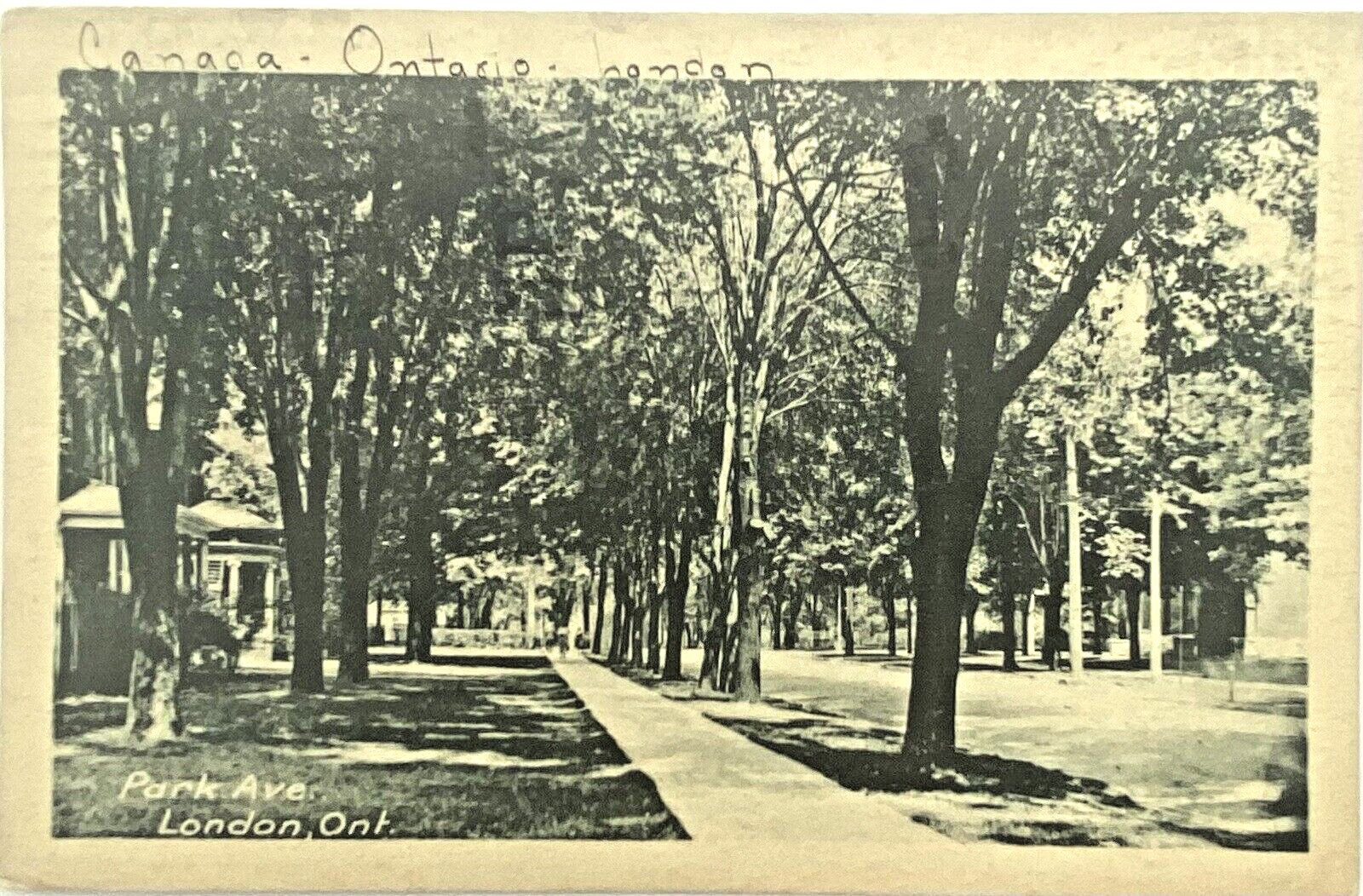 London Ontario Canada Vintage Postcard c. 1925 Park Ave Street View
