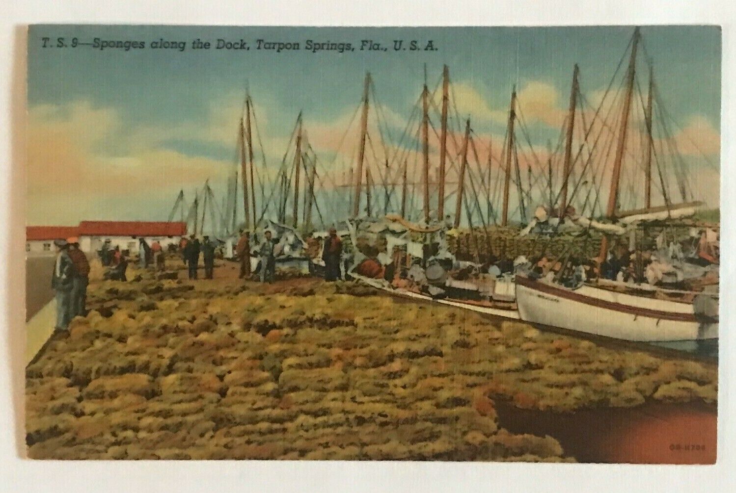 FL Postcard Sponges Along The Dock Scene - Tarpon Springs, Florida vtg Linen B4