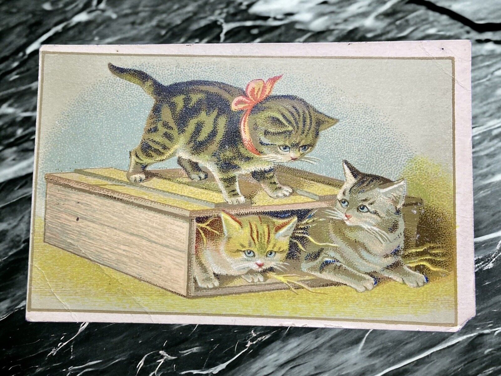 Antique Victorian Lion Coffee Trade Card, Adorable Kittens In A Box